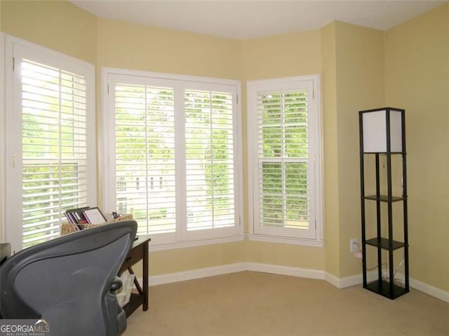 office with light carpet and a wealth of natural light