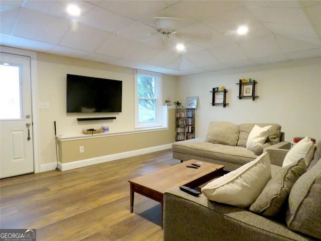 living room featuring a drop ceiling and hardwood / wood-style floors