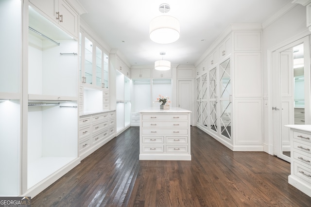 walk in closet with dark wood-type flooring