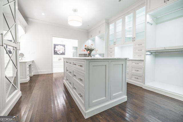 walk in closet featuring dark hardwood / wood-style floors