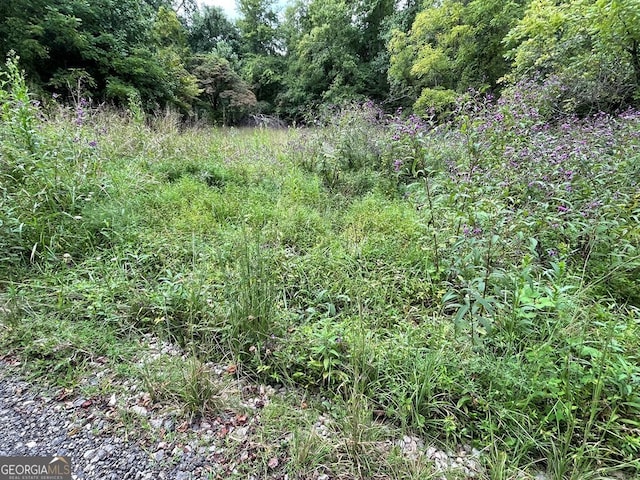 Listing photo 3 for LOT9 Sharons Way, Hayesville NC 28904