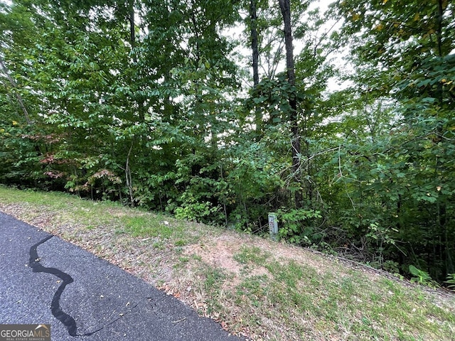 Listing photo 2 for LOT32J Mountain Harbour, Hayesville NC 28904