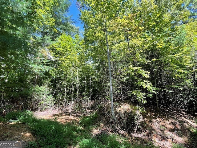 Listing photo 2 for LOT43 Fires Creek Cv, Hayesville NC 28904