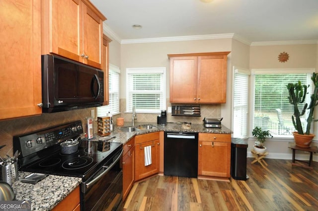 kitchen with sink, black appliances, dark hardwood / wood-style floors, and a healthy amount of sunlight