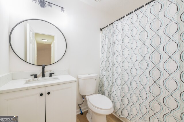 bathroom featuring vanity, toilet, and wood-type flooring