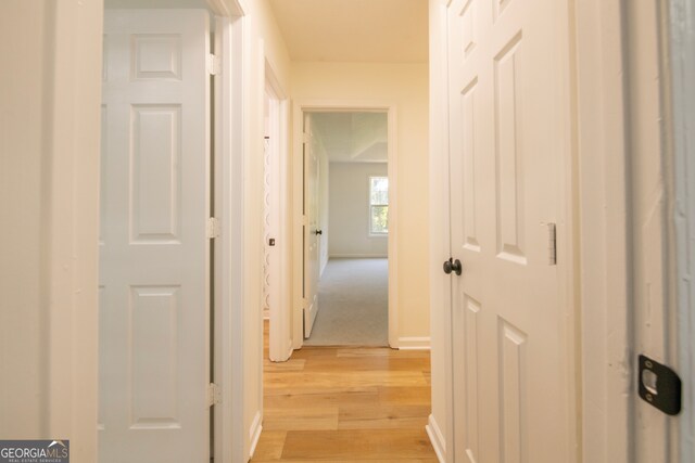 hall featuring light wood-type flooring