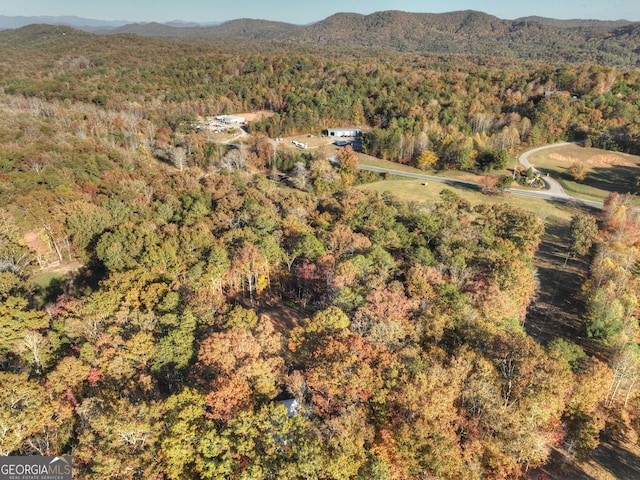 drone / aerial view featuring a mountain view