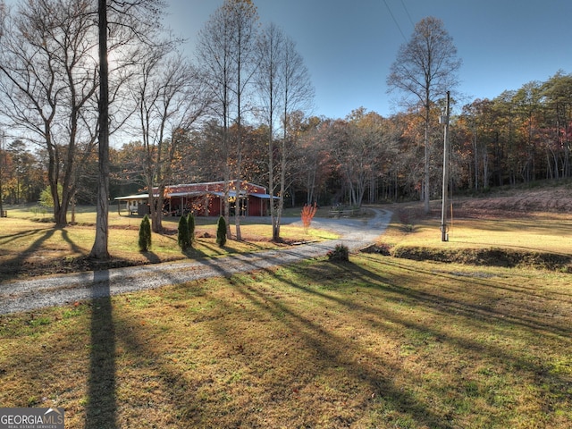 view of yard