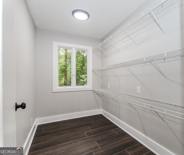 spacious closet featuring dark hardwood / wood-style floors