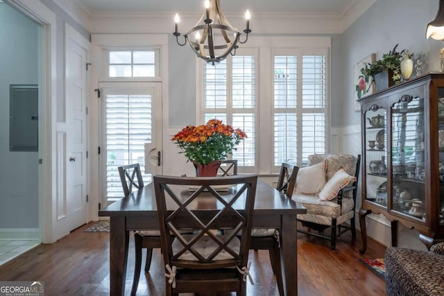 dining area with a wealth of natural light, dark hardwood / wood-style floors, and electric panel