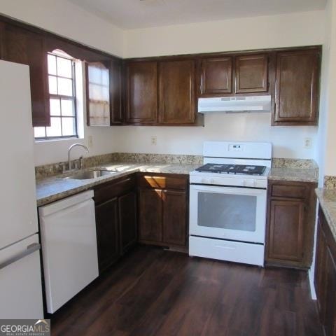 kitchen with white appliances, sink, dark brown cabinetry, and dark hardwood / wood-style floors