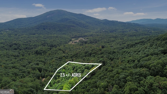 0 Sal Mountain Way, Sautee Nacoochee GA, 30571 land for sale