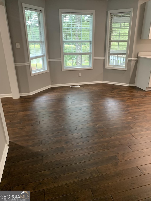 empty room featuring dark hardwood / wood-style floors and a wealth of natural light