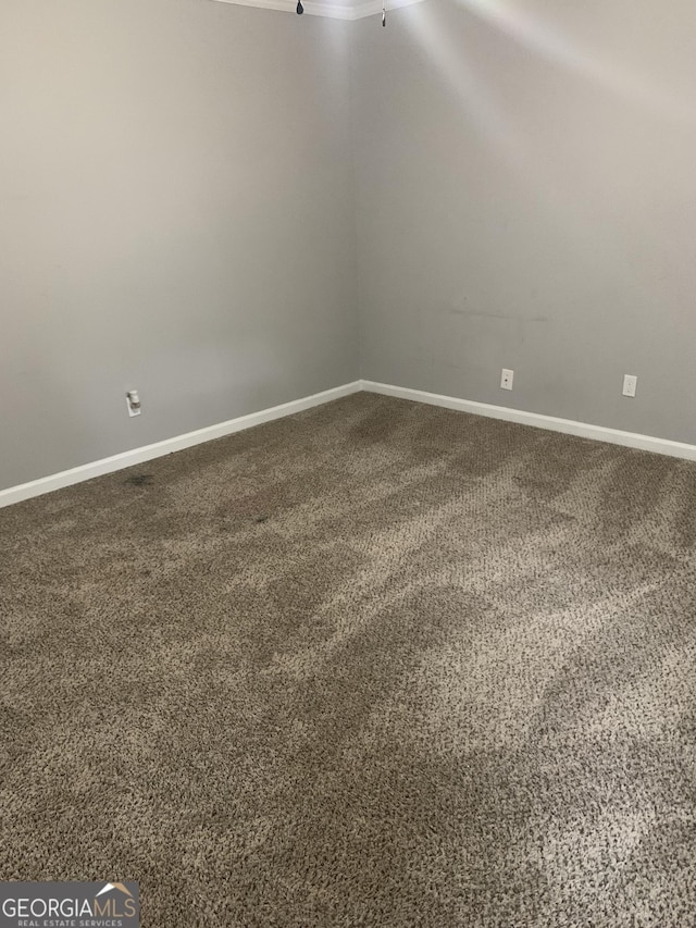 interior space with carpet