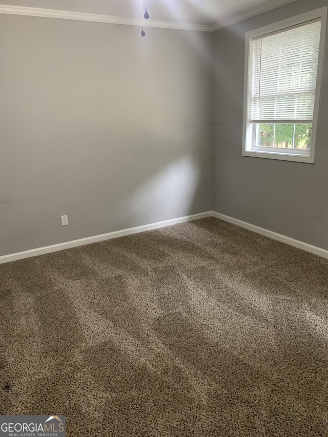 unfurnished room with carpet floors and ornamental molding