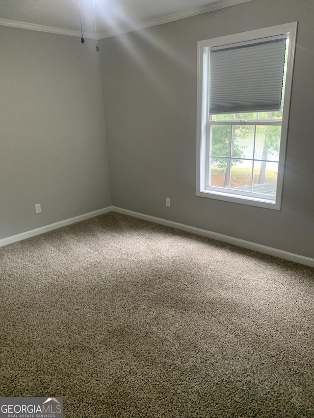 spare room featuring carpet flooring and crown molding