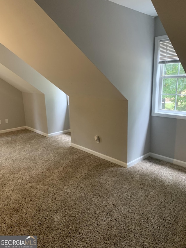 additional living space featuring carpet flooring