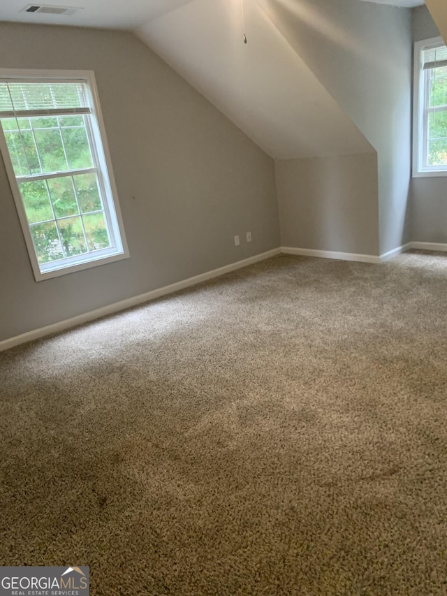 additional living space featuring carpet floors, vaulted ceiling, and a wealth of natural light