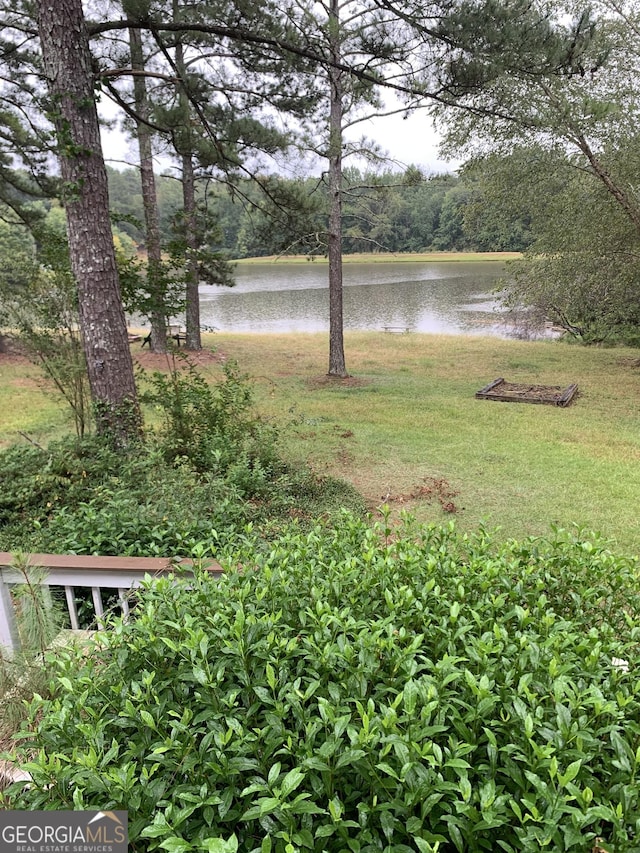 view of yard with a water view