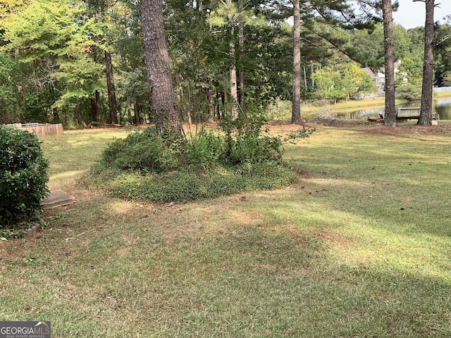 view of yard with a water view