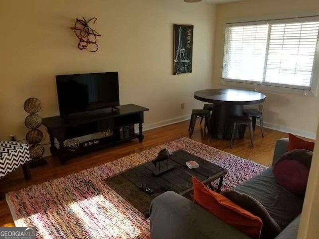 living room with wood-type flooring