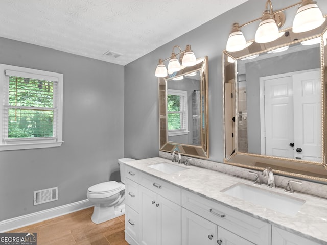 bathroom with vanity, toilet, a textured ceiling, and a wealth of natural light