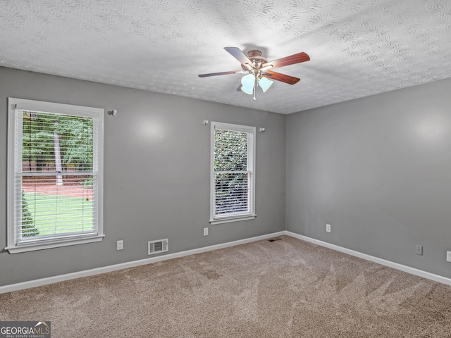 spare room featuring a textured ceiling, carpet floors, and plenty of natural light