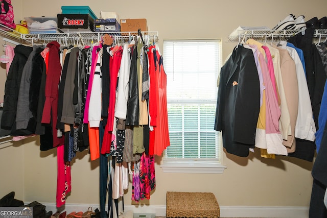 view of spacious closet