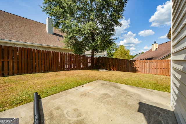 view of yard featuring a patio