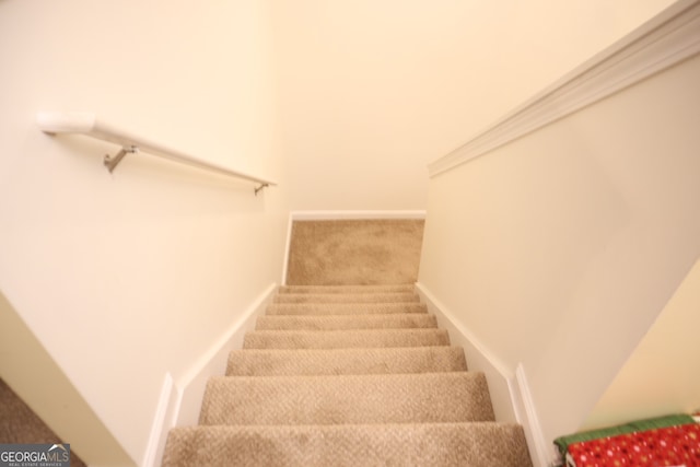 stairway with carpet floors