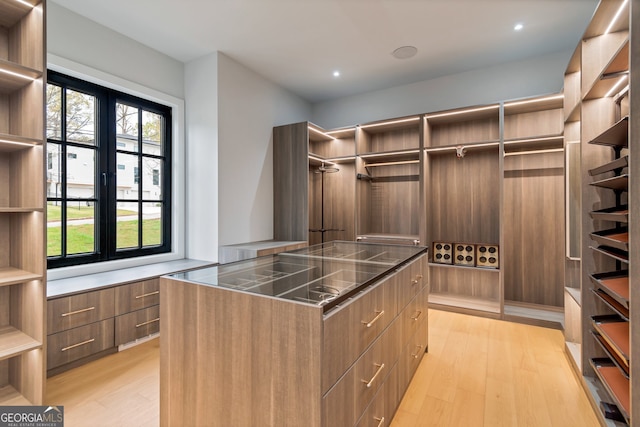 walk in closet featuring light hardwood / wood-style floors