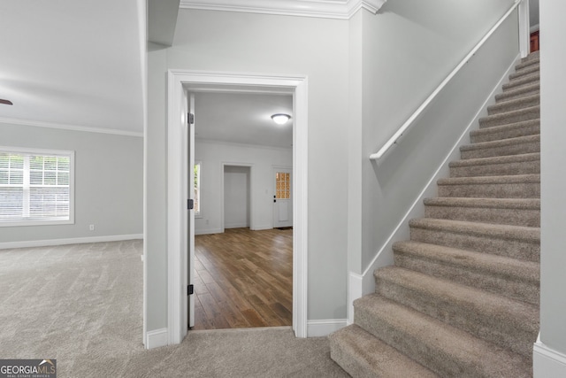 stairs featuring ornamental molding and hardwood / wood-style floors