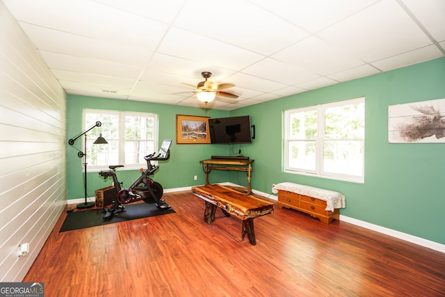 workout area with plenty of natural light, ceiling fan, and a drop ceiling