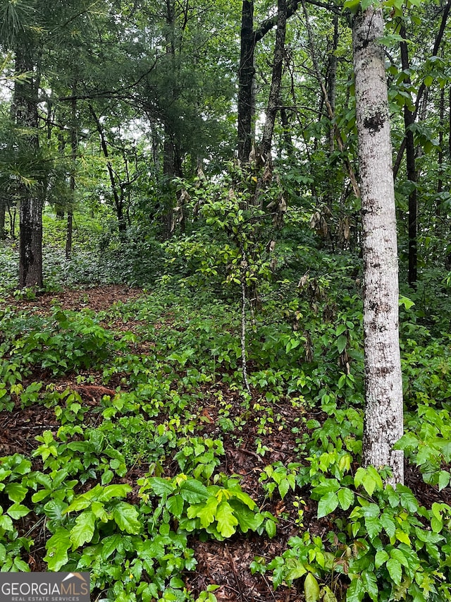 LOT9 Mcridge Dr, Hiawassee GA, 30546 land for sale