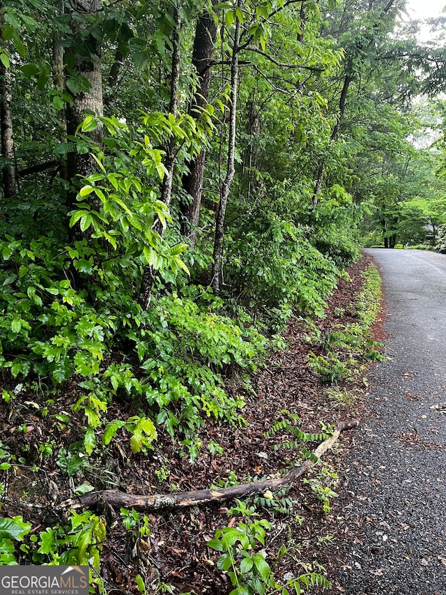 Listing photo 2 for LOT9 Mcridge Dr, Hiawassee GA 30546