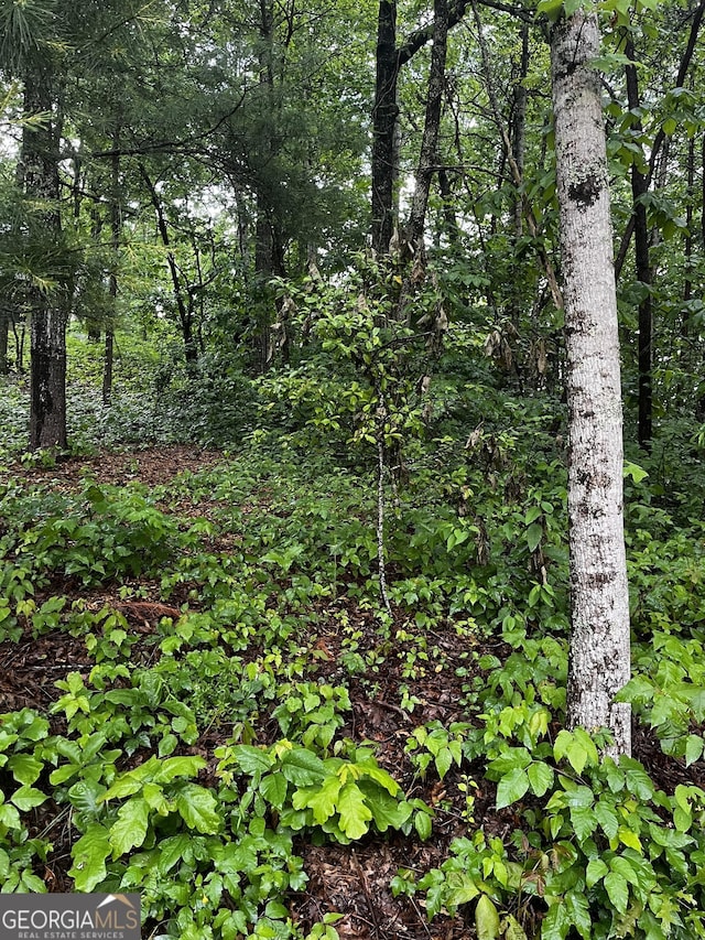 Listing photo 2 for LOT9 Mcridge Dr, Hiawassee GA 30546