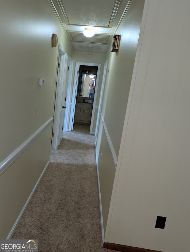 hall featuring light colored carpet and a textured ceiling