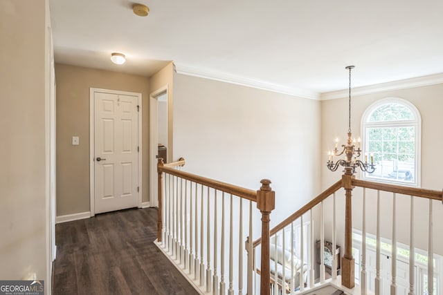 hall with ornamental molding, dark wood-type flooring, and a chandelier