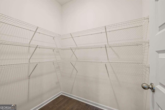 spacious closet with dark wood-type flooring