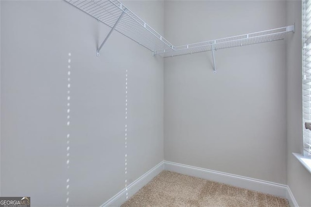 walk in closet with carpet