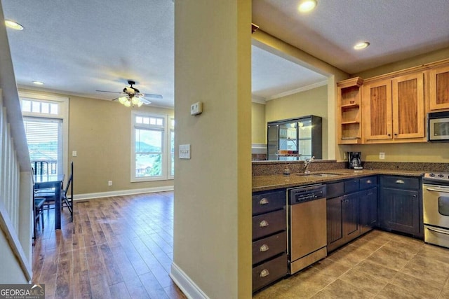 kitchen with appliances with stainless steel finishes, plenty of natural light, sink, and ceiling fan