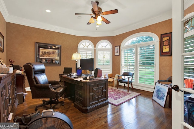 office featuring ceiling fan, dark hardwood / wood-style flooring, and ornamental molding