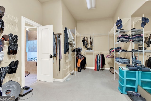 spacious closet with light carpet