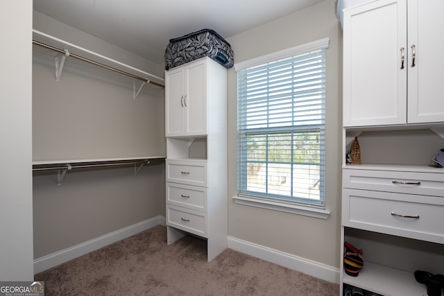 walk in closet featuring light colored carpet