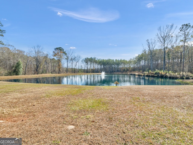 property view of water