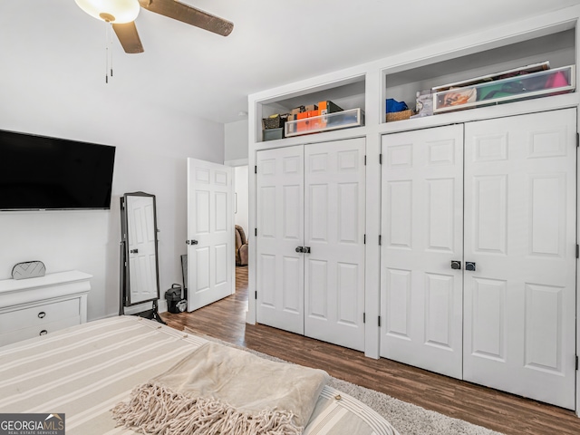 unfurnished bedroom with two closets, ceiling fan, and wood-type flooring