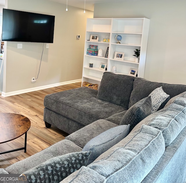 living room featuring hardwood / wood-style flooring