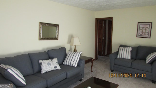 carpeted living room featuring a textured ceiling