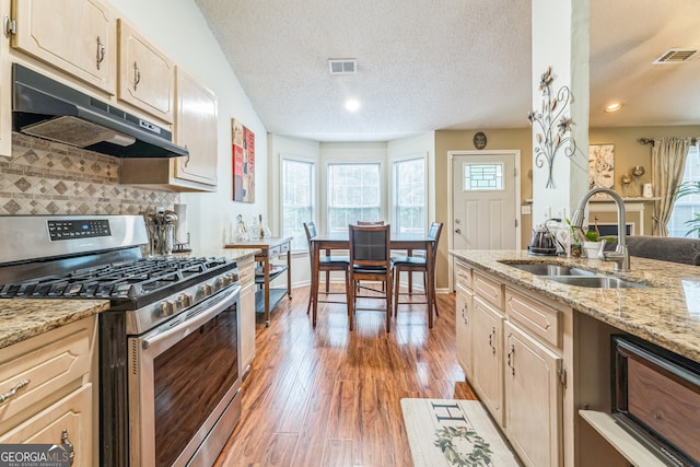 kitchen with a healthy amount of sunlight, gas stove, hardwood / wood-style flooring, and sink