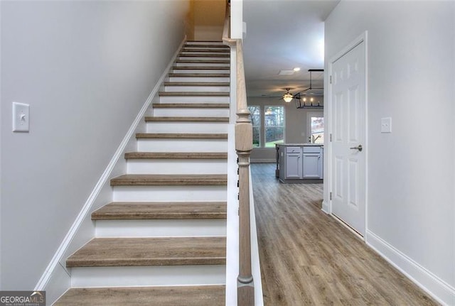 stairway with wood-type flooring